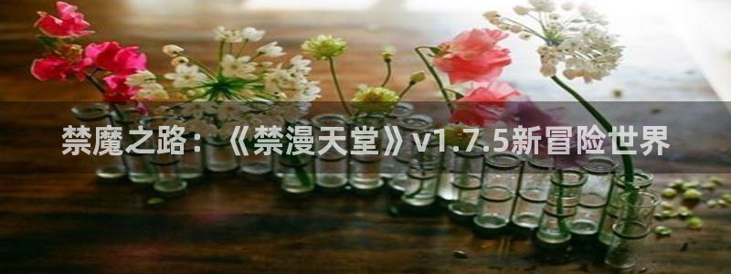 动漫omofun下载：禁魔之路：《禁漫天堂》v1.7.5新冒险世界
