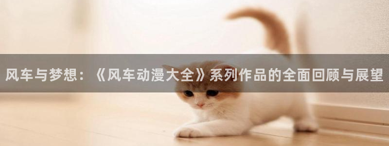omofun 翻译：风车与梦想：《风车动漫大全》系列作品的全面回顾与展望