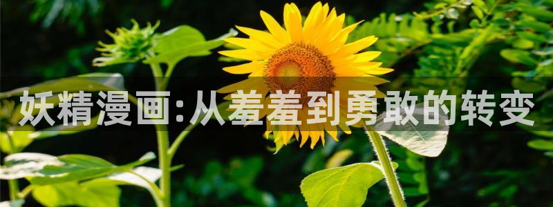 动漫软件omofun：妖精漫画:从羞羞到勇敢的转变