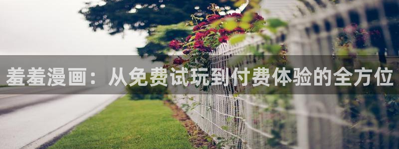 omofun 官网：羞羞漫画：从免费试玩到付费体验的全方位