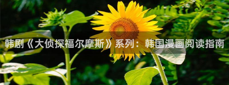 omofun\'：韩剧《大侦探福尔摩斯》系列：韩国漫画阅读指南