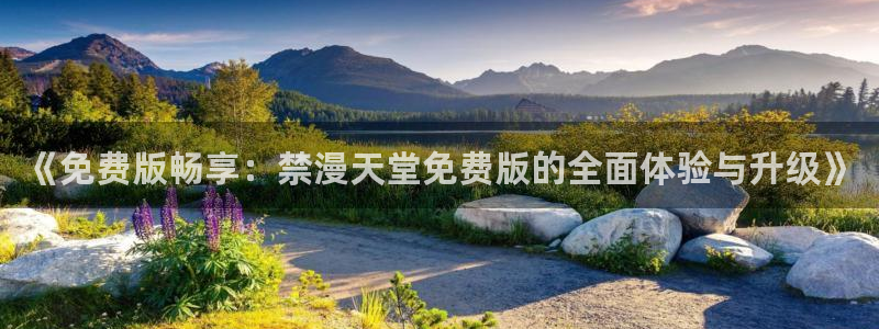 omofun正版官方下载链接：《免费版畅享：禁漫天堂免费版的全面体验与升级》