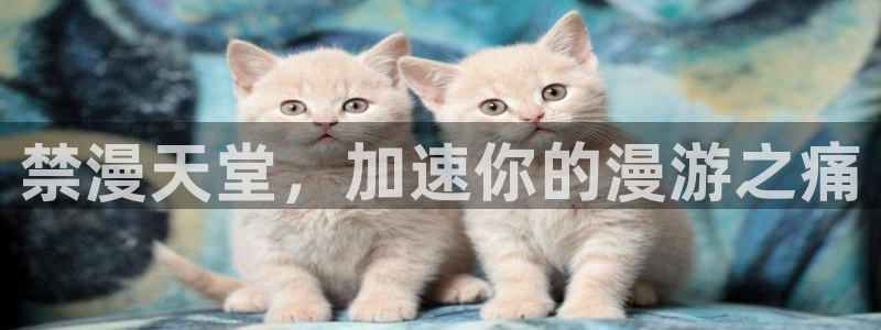 omofun动漫下载苹果：禁漫天堂，加速你的漫游之痛
