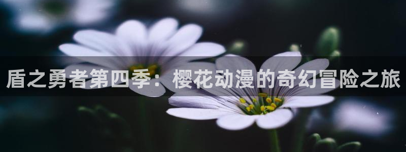 动漫共和国omofun下载：盾之勇者第四季：樱花动漫的奇幻冒险之旅