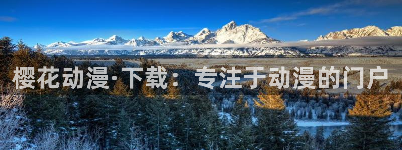 omofun老版本下载