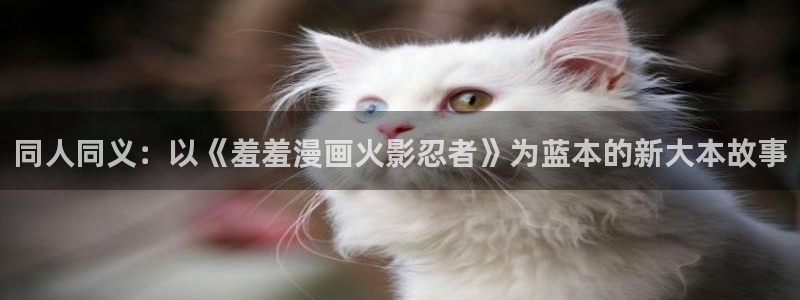 喵趣漫画下载链接