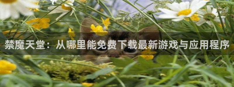 www.omofun.