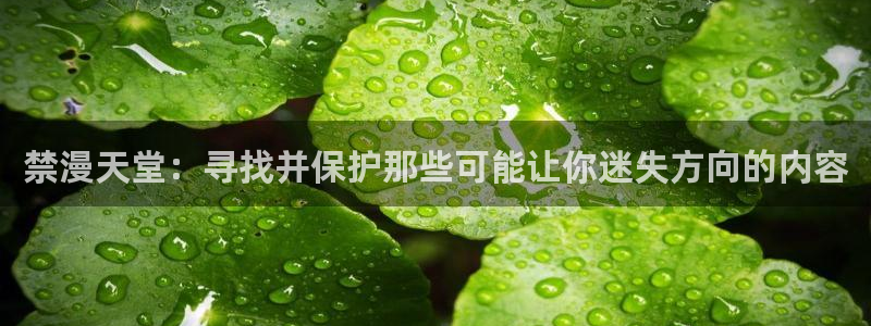 omofun电脑端
